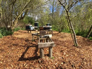 蜜蜂，养蜂场，蜜蜂桌，蜂箱，养蜂人，养蜂，树木，植物