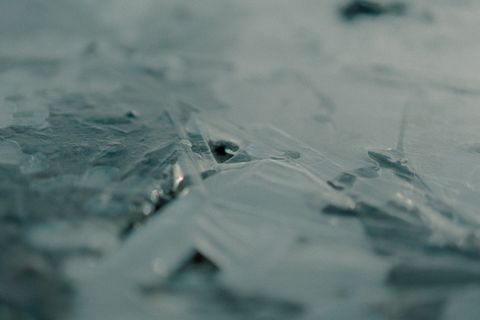 大自然，树，树，草，绿色，寒冷，秋天，冬天