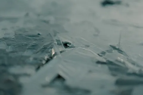 大自然，树，树，草，绿色，寒冷，秋天，冬天