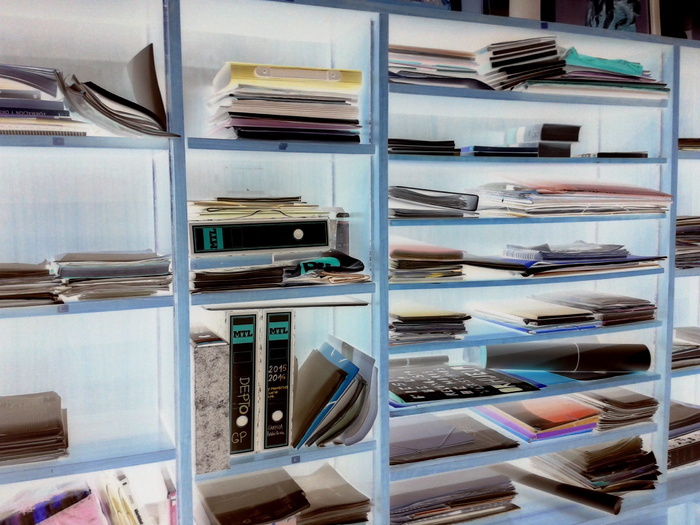 教育、文化、学校、学院、知识、故事、书架、大量物品