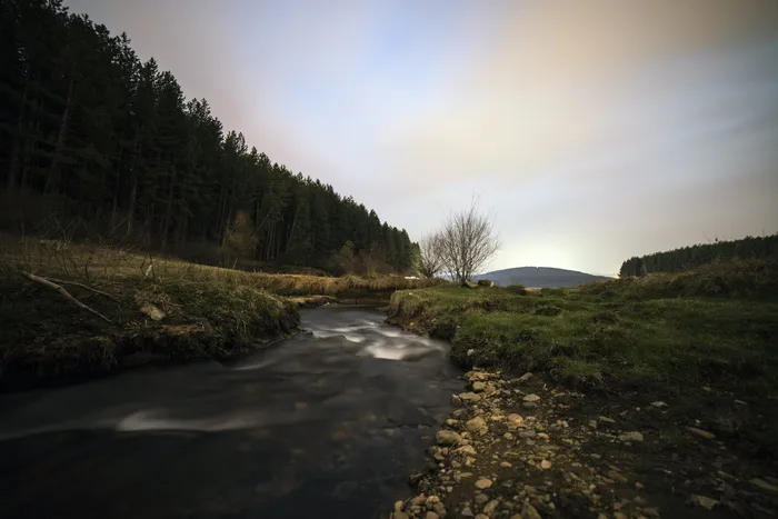 平静的河流，旁边有绿树