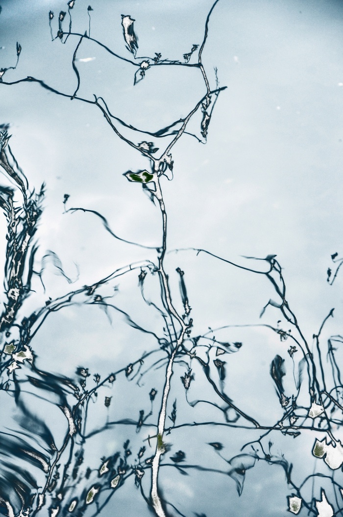 水，倒影，镜像，蓝色，云天，树，没有人，植物