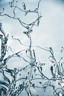 水，倒影，镜像，蓝色，云天，树，没有人，植物