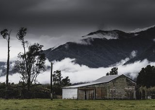 新西兰，franz josef，谷仓，乡村，雾，云，树，农场