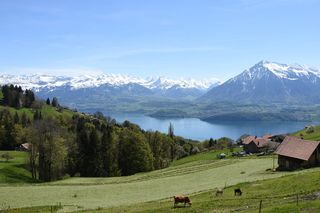 绿草场, 打喷嚏, 图恩湖, 伯尔尼高地, 山, 图恩豪斯伯格, 瑞士, 湖
