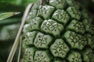 绿色、颜色、水果、新鲜、特写、异国情调、新鲜、生长