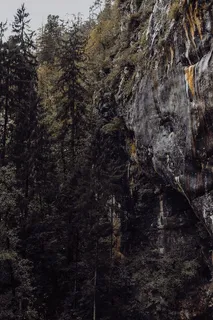 斯洛文尼亚波斯托尼亚洞穴口的Predjama城堡