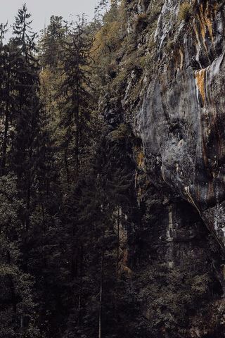 斯洛文尼亚波斯托尼亚洞穴口的Predjama城堡