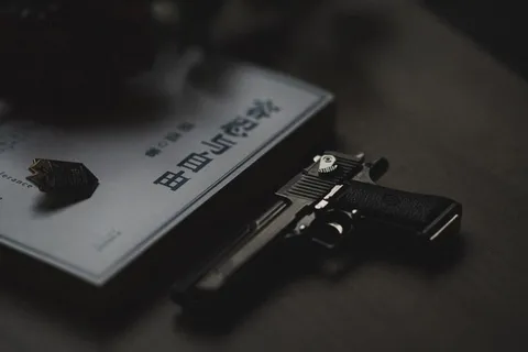 武器，武器，手枪，枪，电子，军械库，适配器，弹药