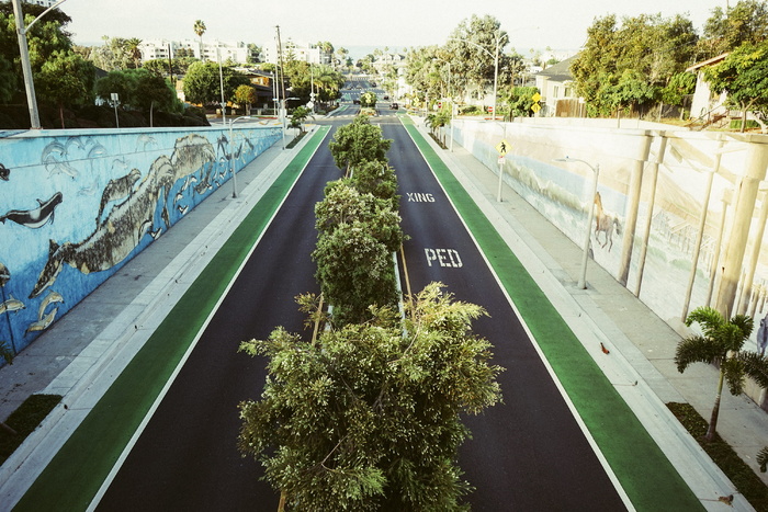 海洋公园、道路、街道、草地、树木、涂鸦、壁画、人行道