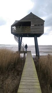 kiekkast、dollart、东弗里西亚、天空、水、建筑、一人、土地