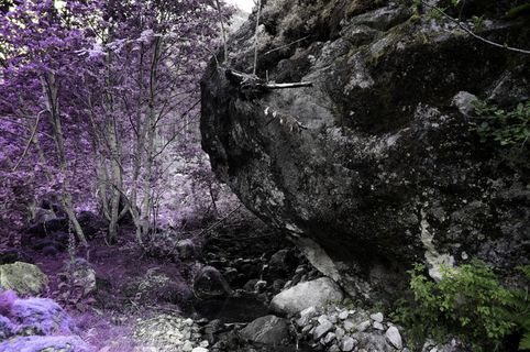 挪威，索格达尔，峡湾，树，树，颜色，户外，岩石