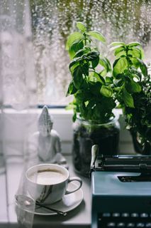 雨天使用旧打字机