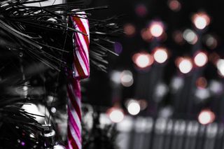 德国，梅切尼，圣诞树，威纳茨鲍姆，12月，糖果，红色，彩色