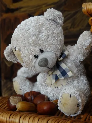 泰迪熊，吉祥物，毛绒吉祥物，毛绒，玩具，可爱，坐着，代表