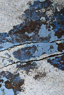 岩石、板岩、自然、地面、柏油、户外、石板、植物