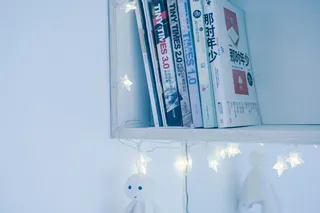 白色书架上的各种书籍