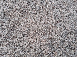 印度，苏拉特，全画幅，背景，纹理，纺织品，图案，特写