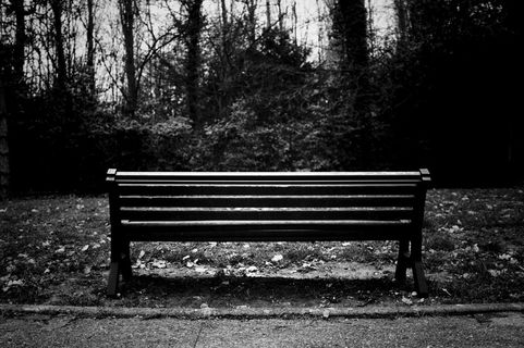 长椅，家具，公园长椅，坐，地，草，公园，植物