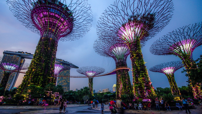 新加坡海湾花园，夜晚，灯光，地标，超级树，景点，五颜六色