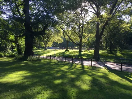 美国，纽约，*公园，绿化，公园，花园，城市景观，自然