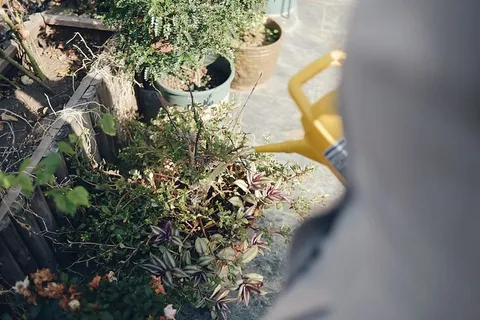 采购产品陶器,盆栽植物,花瓶,罐子,植物,植物,花盆,药草 采购产品陶器,盆栽植物,花瓶,罐子,植物,植物,花盆,药草