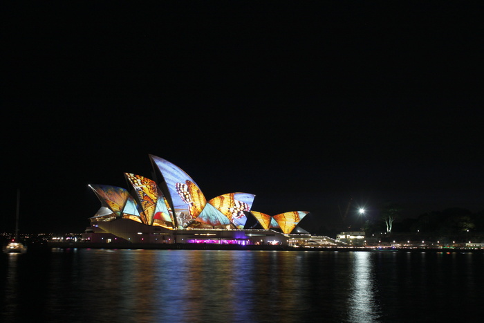 悉尼歌剧院, 夜间, 悉尼港, 歌剧院, 晚间, 市, 艺术, 灯光