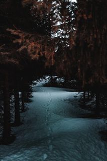 雪地上的赤足印