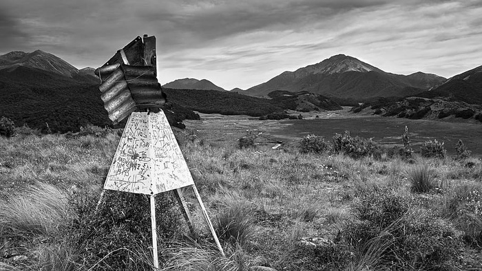 新西兰，布拉克斯顿，灌木，草地，灰阶，麦卢卡，汉密尔顿山，名字