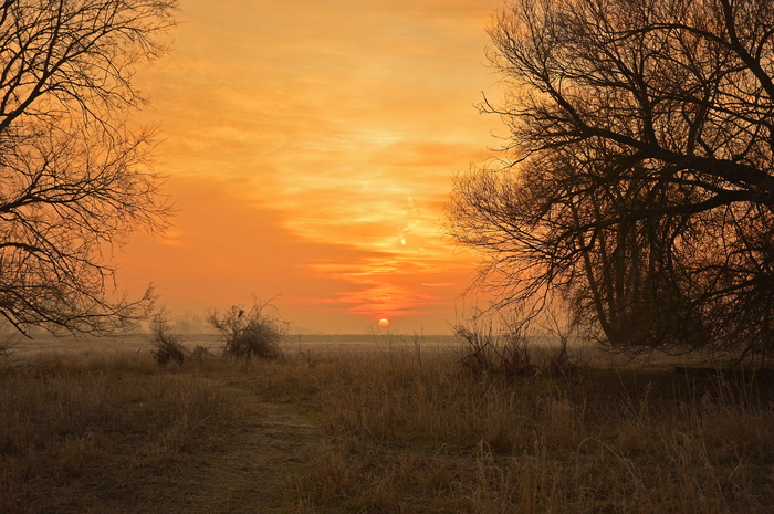 日出，morgenrot，morgenstimmung，风景，自然，心情，天空，光