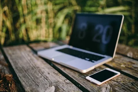 在湖边开发Macbook的人 在湖边开发Macbook的人