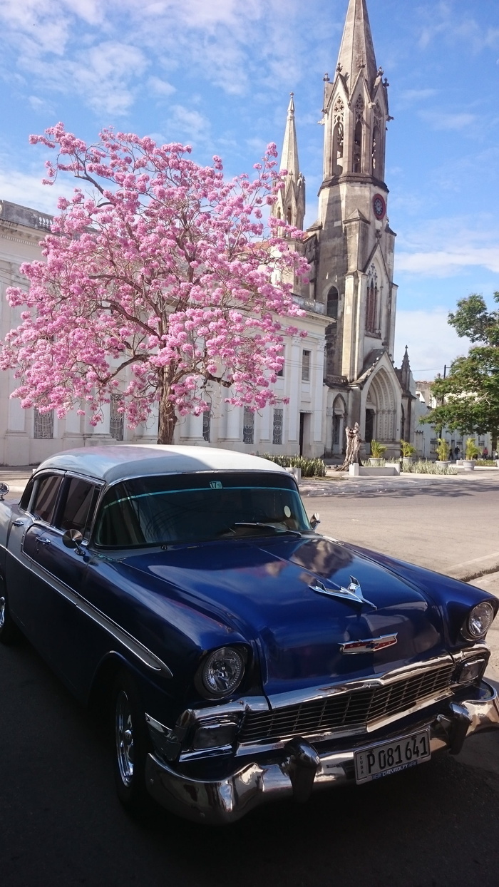 古巴，经典汽车，经典，oldtimer，v8，哈瓦那，复古，交通方式