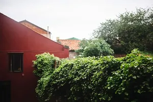 美丽多彩的意大利穆拉诺岛