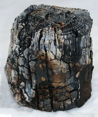 雪，烟熏，篝火，特写，艺术和工艺，没有人，表现，人类的表现