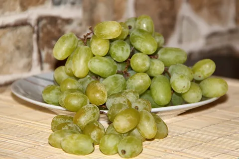 葡萄,水果,绿葡萄,吃,甜,好吃,餐桌上的葡萄,成熟的葡萄 葡萄,水果,绿葡萄,吃,甜,好吃,餐桌上的葡萄,成熟的葡萄