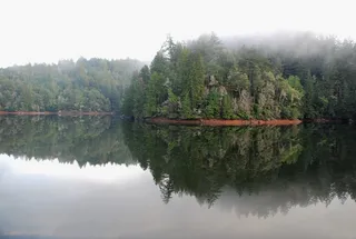 高山湖, 美国, 森林, 海岸线, 树, 马林县, 高山湖泊, 反射