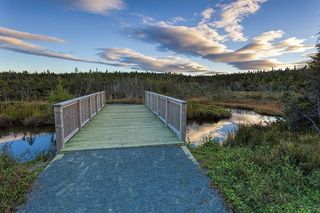 秋天的颜色在一条步行小道上。