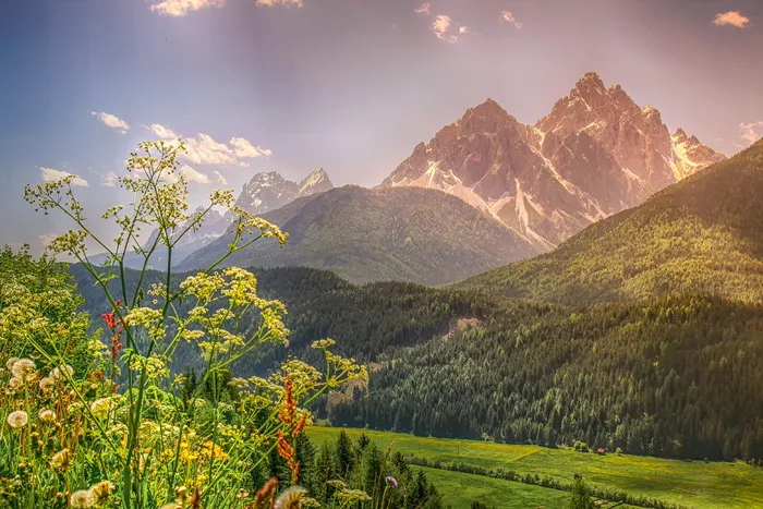 风景摄影，绿色，山脉，自然，风景，高山，南蒂罗尔，草地