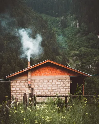 靠近绿树的房子