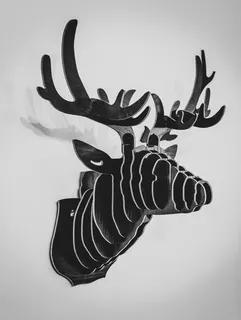 鹿角，手，动物，鹿，雨鹿，装饰，室内设计，动物摄影