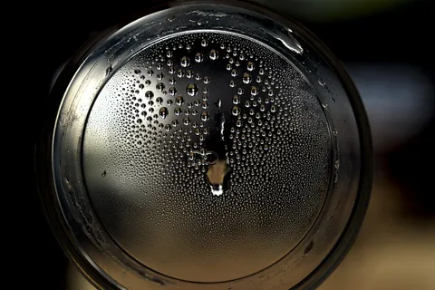 水滴，微冷，特写，无人，室内，静物，水，单一物体