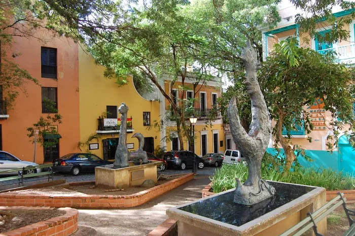 绿色盆景树，圣胡安，波多黎各，老城，多彩，建筑，古老，加勒比海