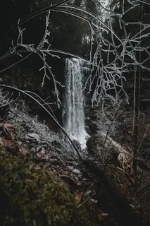 瀑布，中间，森林，树木，瀑布，水，林地，运动