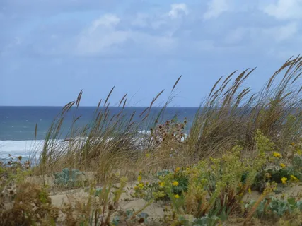 大西洋，海岸，景观，法国，大西洋海岸，海洋，布列塔尼，天空