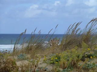 大西洋，海岸，景观，法国，大西洋海岸，海洋，布列塔尼，天空