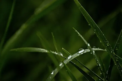 水特写摄影中的水滴 水特写摄影中的水滴
