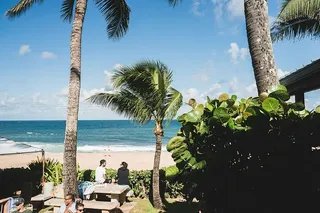 团体，人，海滨，椰子，棕榈，树，自然，绿色