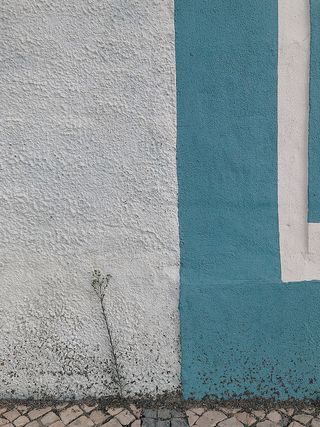 白色和蓝色油漆墙