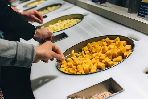 在奶酪工厂品尝奶酪