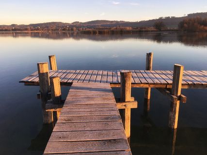 瑞士，阳光，温暖，码头，普菲肯湖，普菲肯湖，自然